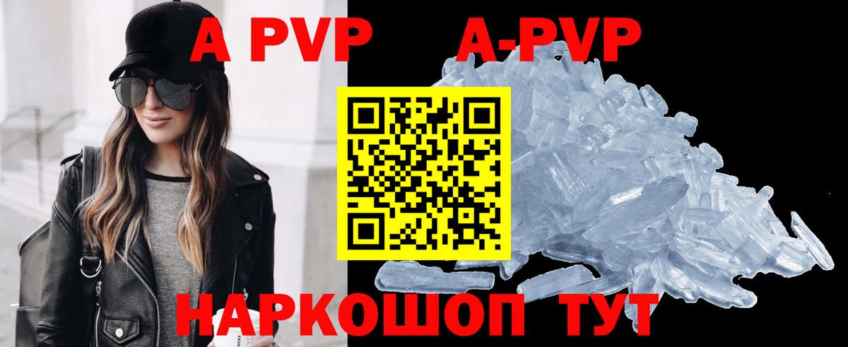 A PVP СК КРИС Коряжма