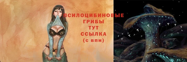 СК Аркадак