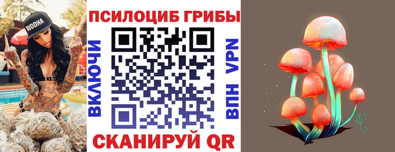 закладки  Коряжма  Галлюциногенные грибы прущие грибы 