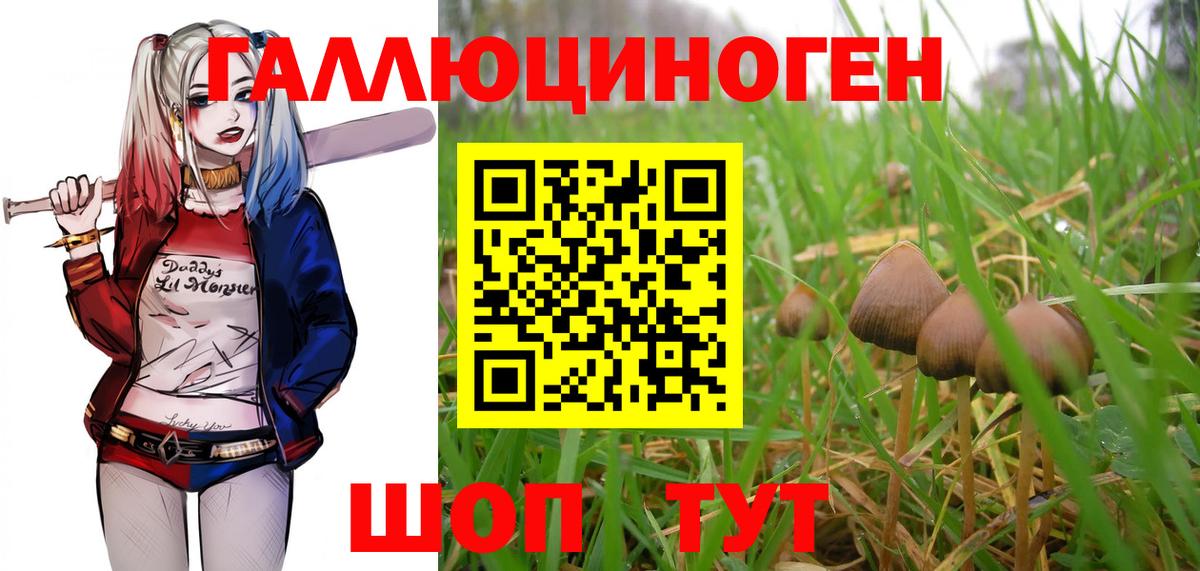 Псилоцибиновые грибы MAGIC MUSHROOMS Коряжма